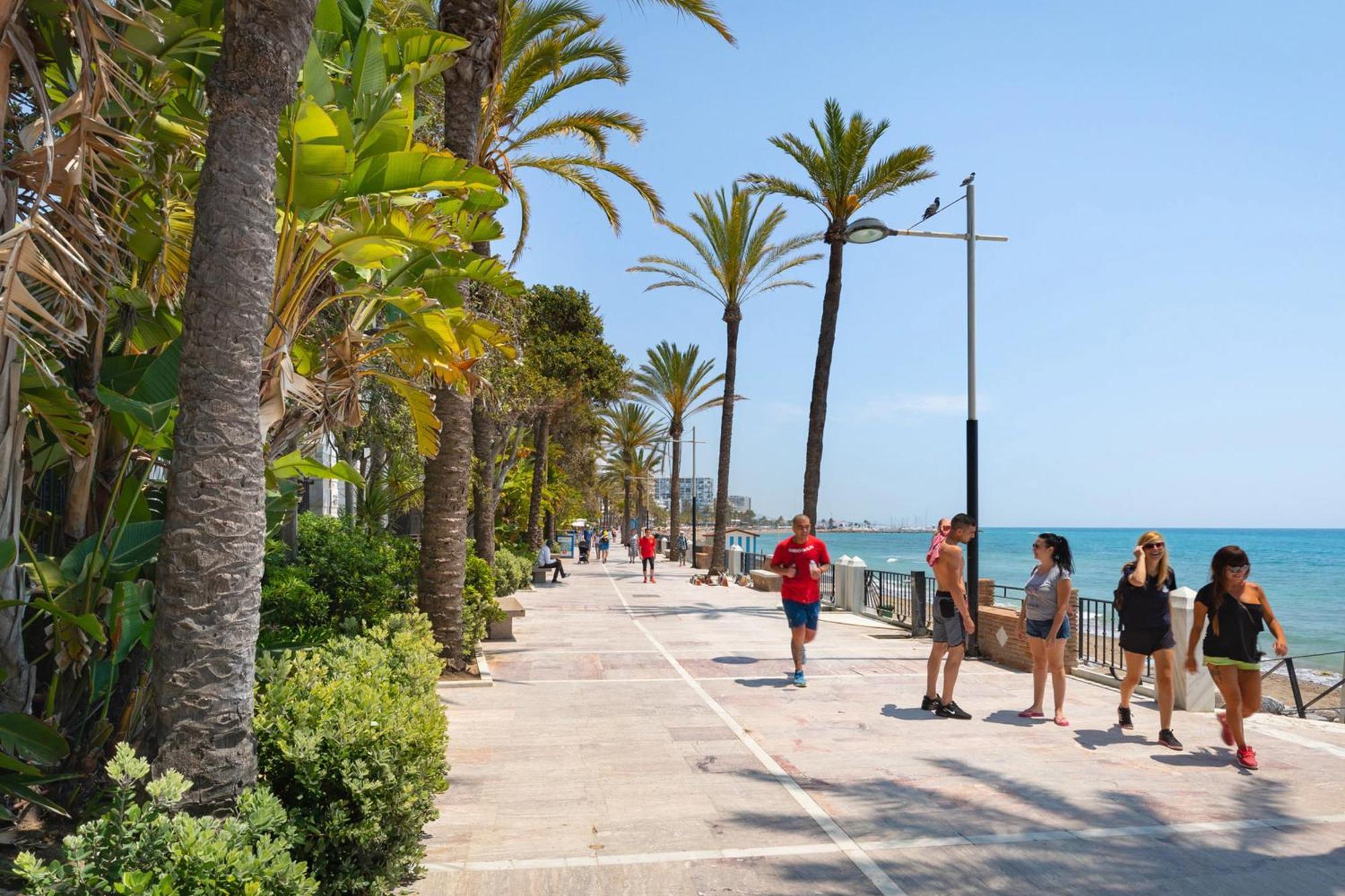 Beachfront Ph With Amazing Views Rdr357 Apartment *